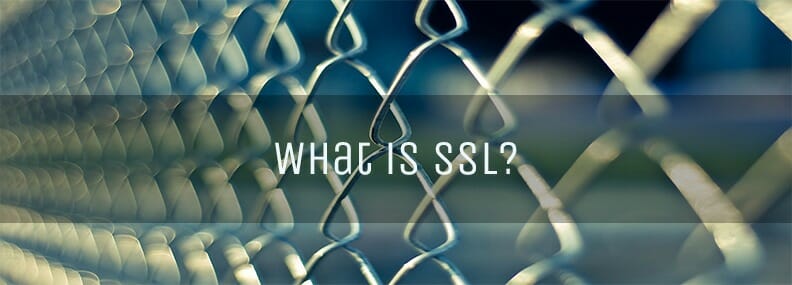 Blog image What Is An SSL Certificate And How Does It Relate To SEO?
