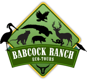Babcock Ranch Eco Tours