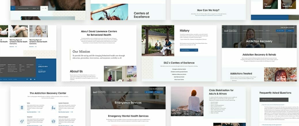 Blog image Atilus Launches Newly Designed David Lawrence Centers Website